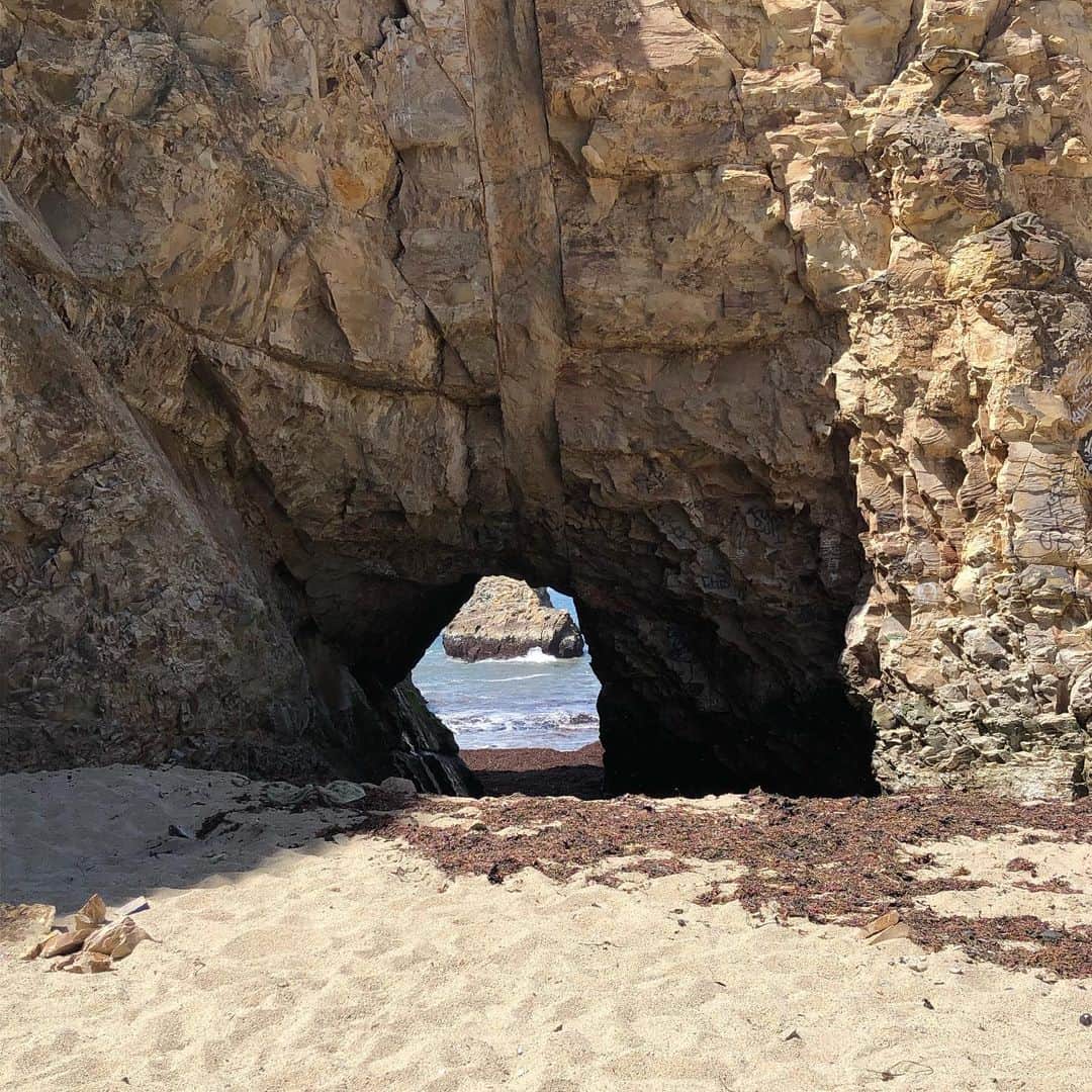クリスティー・ヤマグチさんのインスタグラム写真 - (クリスティー・ヤマグチInstagram)「Shark fin cove...nice photobomb @emma_hedican . Beach day will the masses! #santacruz #bigdipper」6月10日 12時42分 - kristiyamaguchi