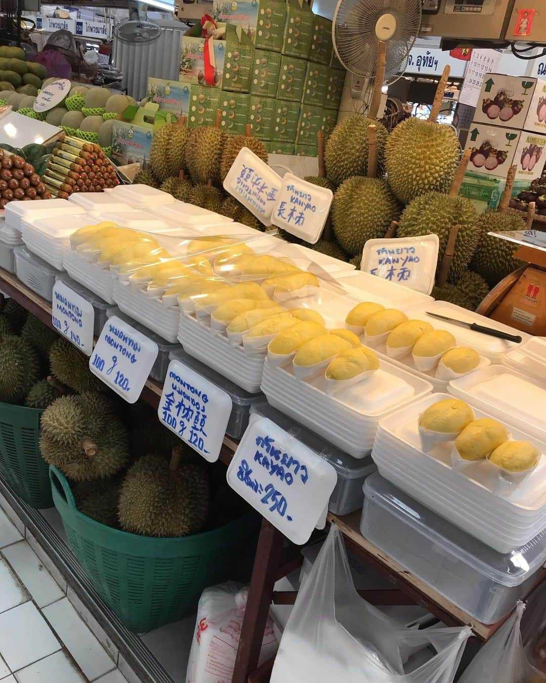 新井利佳さんのインスタグラム写真 - (新井利佳Instagram)「#ortorkormarket #thailand_ig #thailand #bangkok #market #bangkokthailand #thaifood #durian #durianfruit #shopping #yummy #morningmarket #菜市場 #泰國菜市場 #泰國 #曼谷 #榴槤 #好好吃 #不會臭 #新鮮 #ドリアン #美味しい #タイ #バンコク #朝市 #バンコク生活」6月10日 12時48分 - rika.arai