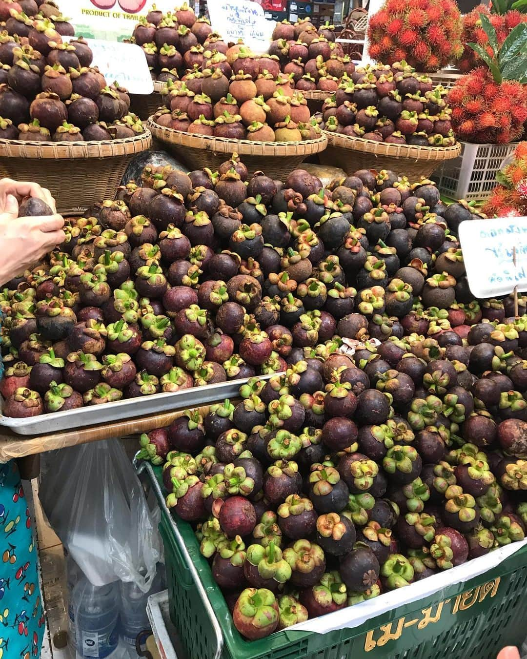 新井利佳さんのインスタグラム写真 - (新井利佳Instagram)「#ortorkormarket #thailand_ig #thailand #bangkok #market #bangkokthailand #thaifood #durian #durianfruit #shopping #yummy #morningmarket #菜市場 #泰國菜市場 #泰國 #曼谷 #榴槤 #好好吃 #不會臭 #新鮮 #ドリアン #美味しい #タイ #バンコク #朝市 #バンコク生活」6月10日 12時48分 - rika.arai