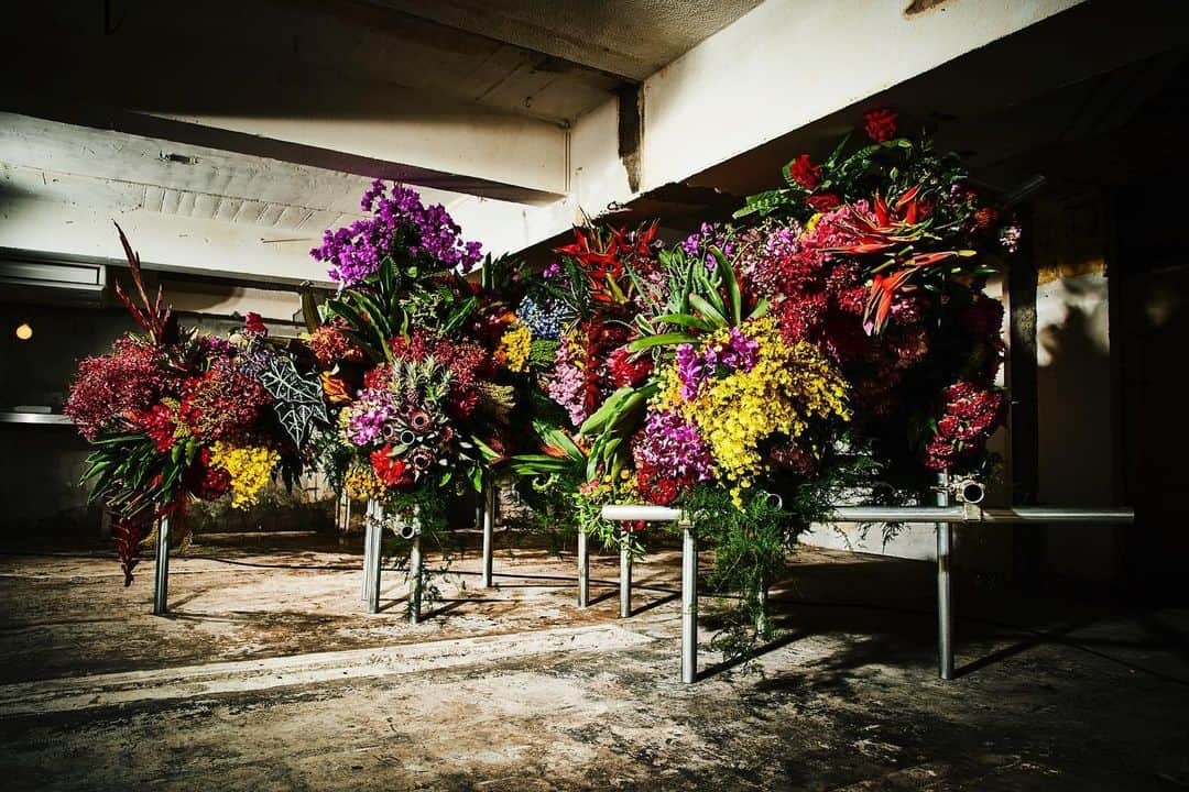 椎木俊介さんのインスタグラム写真 - (椎木俊介Instagram)「Botanical Sculpture for Encyclopedia of Flowers 4  #tokyo#photography#flowers#botanicalart#botanicalphotography#makotoazuma#azumamakoto #東信花樹研究所 #amkk #amkkproject #flowers #flowerart #花 #shiinokishunsuke #encyclopediaofflowers#東信#椎木俊介#植物図鑑」6月10日 12時54分 - shiinokishunsuke