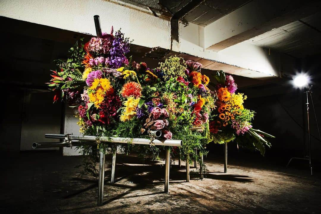 椎木俊介さんのインスタグラム写真 - (椎木俊介Instagram)「Botanical Sculpture for Encyclopedia of Flowers 4  #tokyo#photography#flowers#botanicalart#botanicalphotography#makotoazuma#azumamakoto #東信花樹研究所 #amkk #amkkproject #flowers #flowerart #花 #shiinokishunsuke #encyclopediaofflowers#東信#椎木俊介#植物図鑑」6月10日 12時54分 - shiinokishunsuke