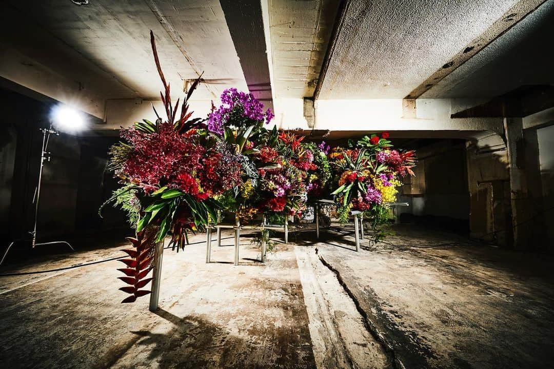 椎木俊介さんのインスタグラム写真 - (椎木俊介Instagram)「Botanical Sculpture for Encyclopedia of Flowers 4  #tokyo#photography#flowers#botanicalart#botanicalphotography#makotoazuma#azumamakoto #東信花樹研究所 #amkk #amkkproject #flowers #flowerart #花 #shiinokishunsuke #encyclopediaofflowers#東信#椎木俊介#植物図鑑」6月10日 12時54分 - shiinokishunsuke