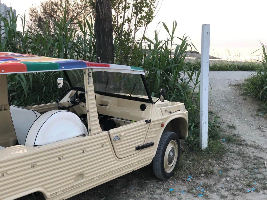 のインスタグラム：「Mehari Brandina, ora è estate!!!」