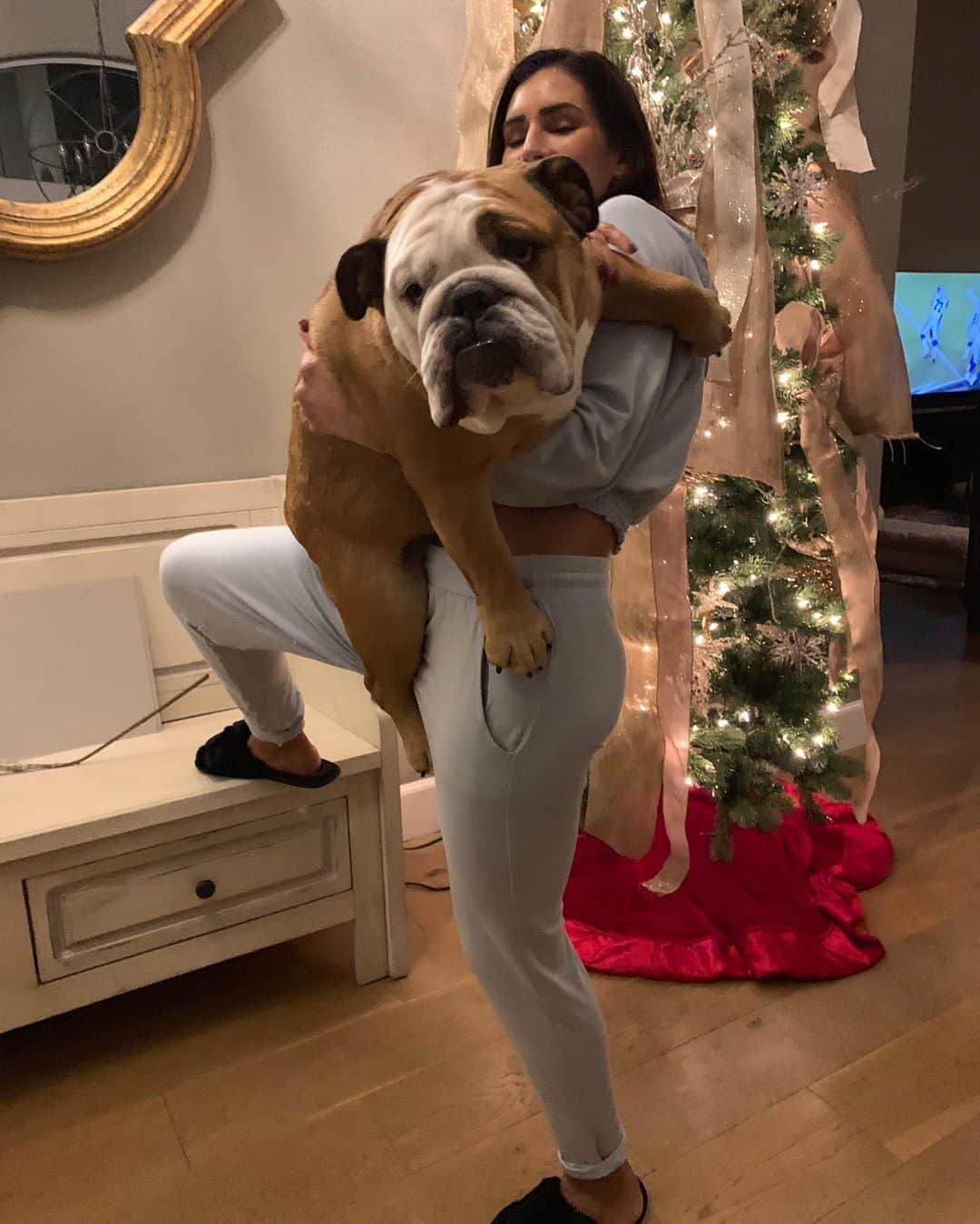 Alexia Clarkさんのインスタグラム写真 - (Alexia ClarkInstagram)「Another reason why I workout is so I can carry my hippo around 🦛 😂😂 love my Roxy girl. . . www.alexia-clark.com  #alexiaclark #queenofworkouts #queenteam #queen2019 #workout #englishbulldog #fitness #fitnessgirl #dogsofinstagram #dogmom #fitforHisreason」6月10日 4時51分 - alexia_clark