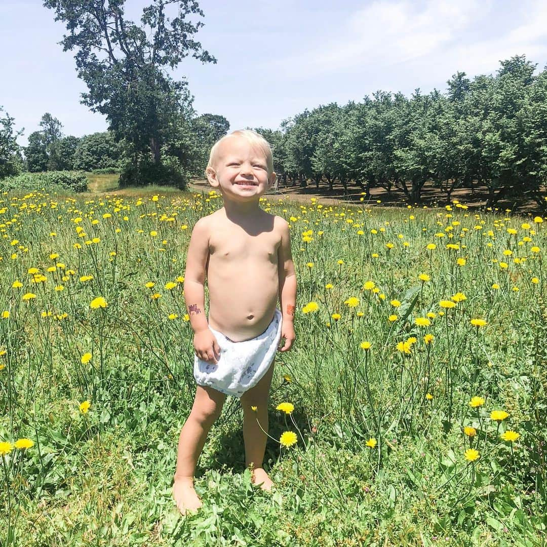 Acacia Brinleyさんのインスタグラム写真 - (Acacia BrinleyInstagram)「Camped outside Jairus’s parents house for a sleepover! Woke up to this beautiful field. I love it here cause Jairus and I got married in that back left corner! Also one of Brinley’s favorite things to do in the morning is to pick me flowers... it’s definitely my favorite too.」6月10日 5時08分 - acaciakersey