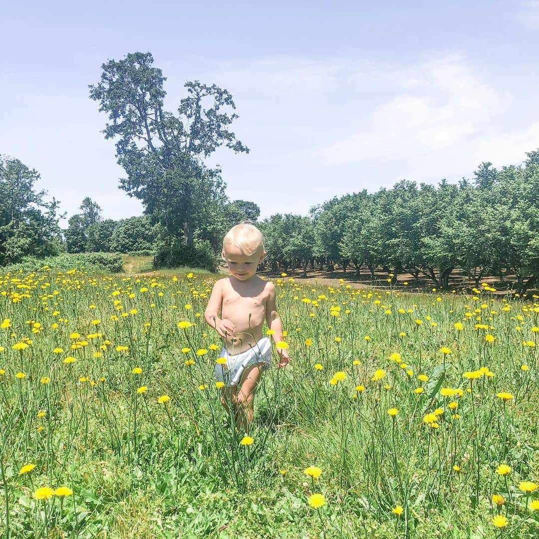 Acacia Brinleyさんのインスタグラム写真 - (Acacia BrinleyInstagram)「Camped outside Jairus’s parents house for a sleepover! Woke up to this beautiful field. I love it here cause Jairus and I got married in that back left corner! Also one of Brinley’s favorite things to do in the morning is to pick me flowers... it’s definitely my favorite too.」6月10日 5時08分 - acaciakersey