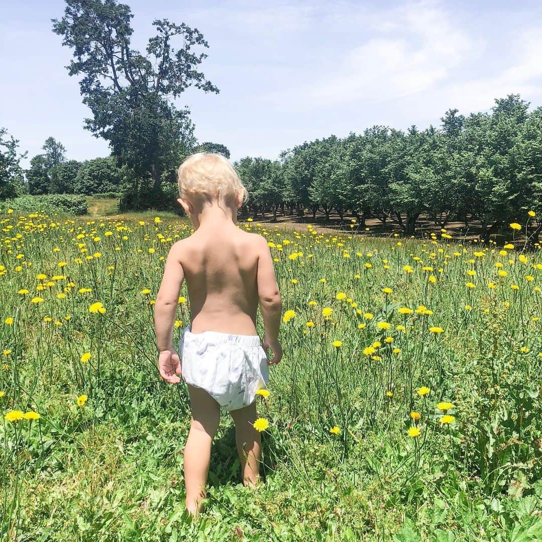 Acacia Brinleyさんのインスタグラム写真 - (Acacia BrinleyInstagram)「Camped outside Jairus’s parents house for a sleepover! Woke up to this beautiful field. I love it here cause Jairus and I got married in that back left corner! Also one of Brinley’s favorite things to do in the morning is to pick me flowers... it’s definitely my favorite too.」6月10日 5時08分 - acaciakersey