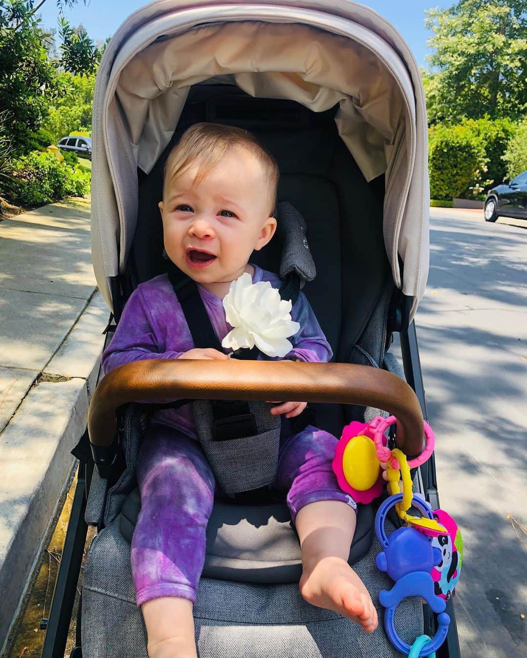 のインスタグラム：「Two more shows then 🏡 to this nugget ❤️」