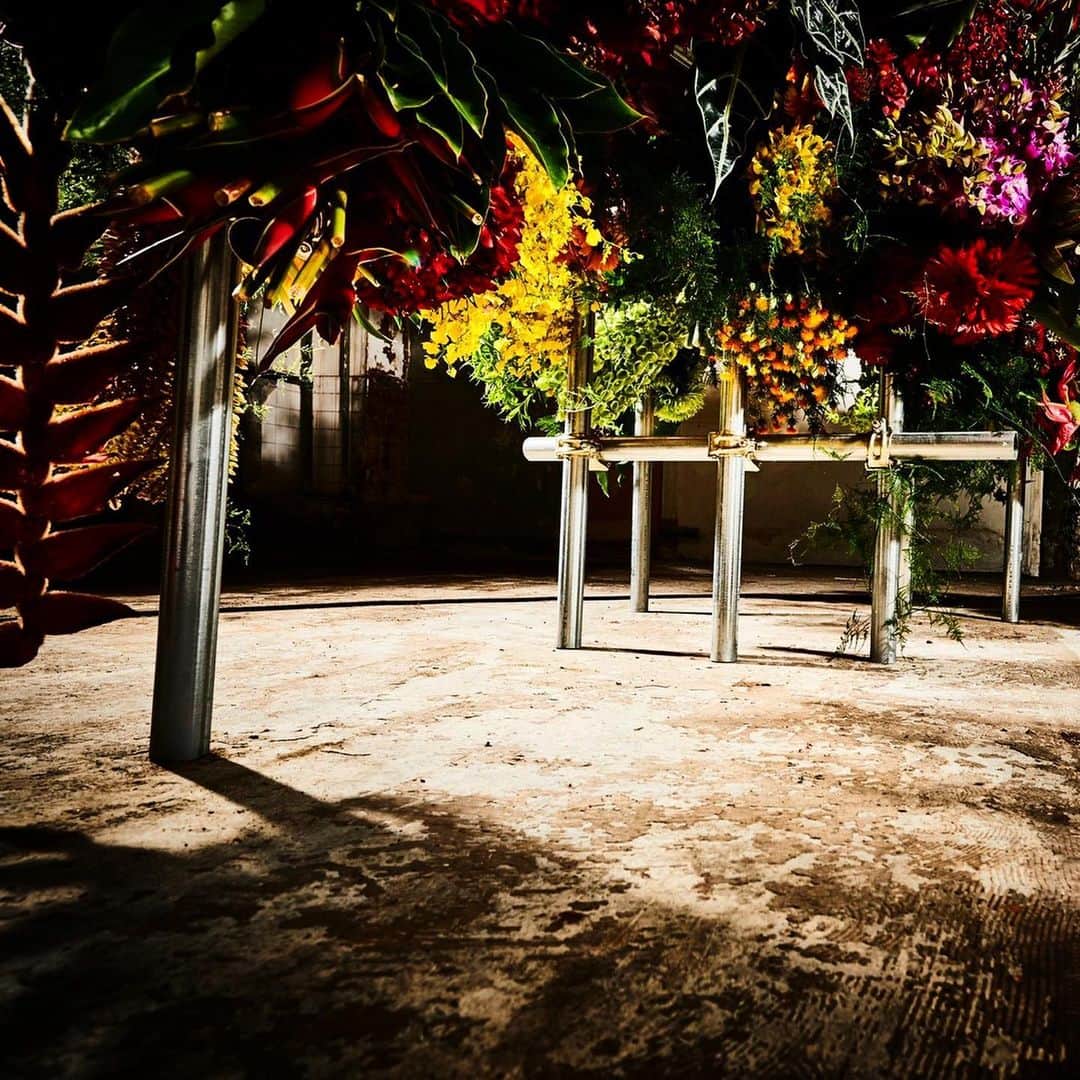 東信さんのインスタグラム写真 - (東信Instagram)「Botanical Sculpture for Encyclopedia of Flowers 4  #tokyo#photography#flowers#botanicalart#botanicalphotography#makotoazuma#azumamakoto #東信花樹研究所 #amkk #amkkproject #flowers #flowerart #花 #shiinokishunsuke #encyclopediaofflowers #東信 #椎木俊介 #植物図鑑」6月10日 6時54分 - azumamakoto