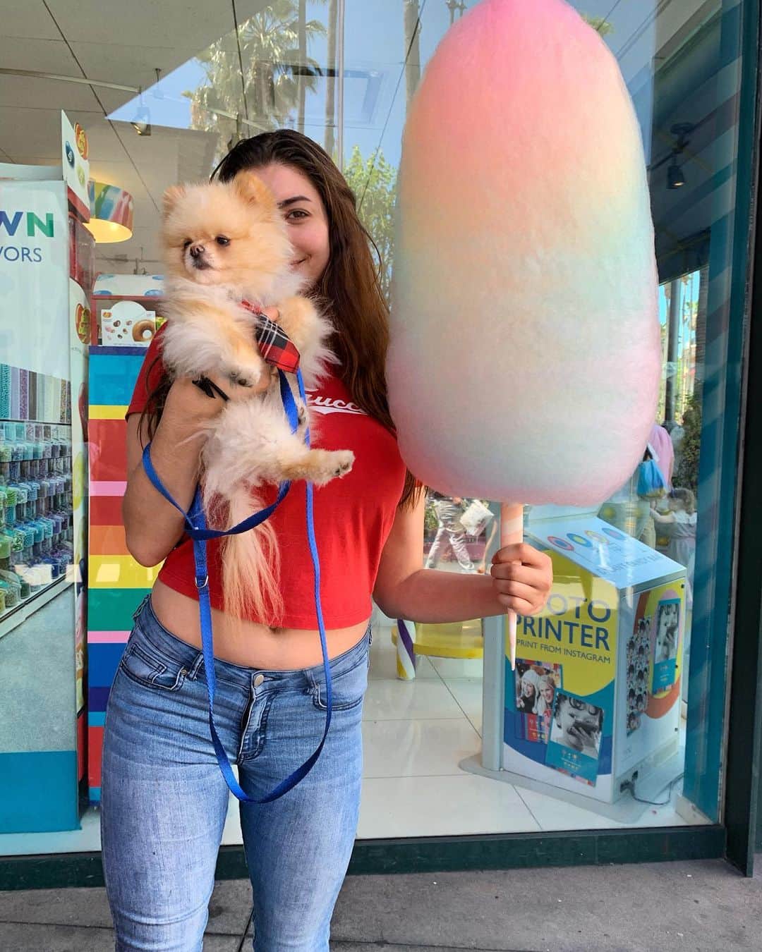 レイチェル・レビンのインスタグラム：「I found my dogs doppelgänger and it’s cotton candy @neyobambi」