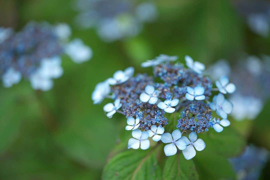 kiccyomuのグルメインスタ