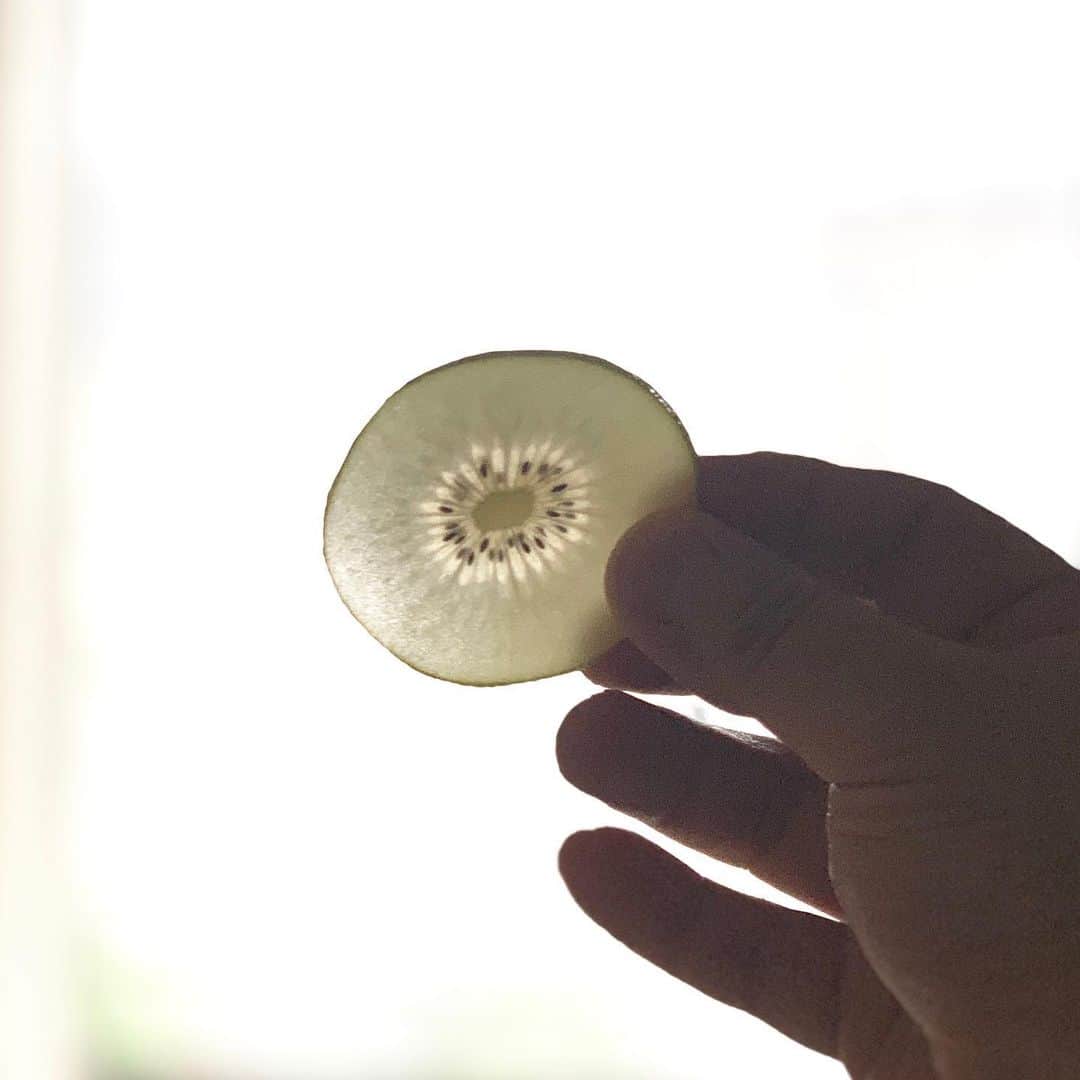 のインスタグラム：「キーウィは皮ごと食べると聞いて、でも食感がなあ…、そうだ薄切りならいいんじゃない？ と、やってみた。でもやっぱりあんまり食感は良くないな。慣れかな。」
