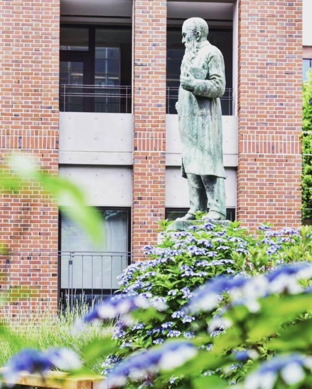 立教大学のインスタグラム
