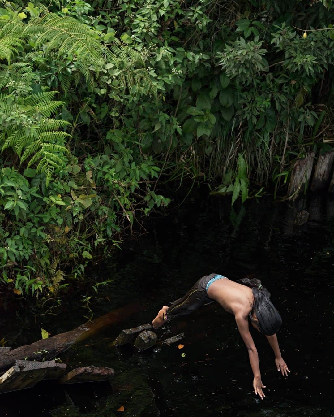 のインスタグラム：「Photo by Lucas Foglia @lucasfogliaphoto | An indigenous boy dives into the dark waters of the Aruka River. Guyana is home to nine indigenous tribes, living amid 45 million acres of rainforest—an area about the size of Washington State. The dark water indicates that it’s clean, dyed by the roots of surrounding trees.」