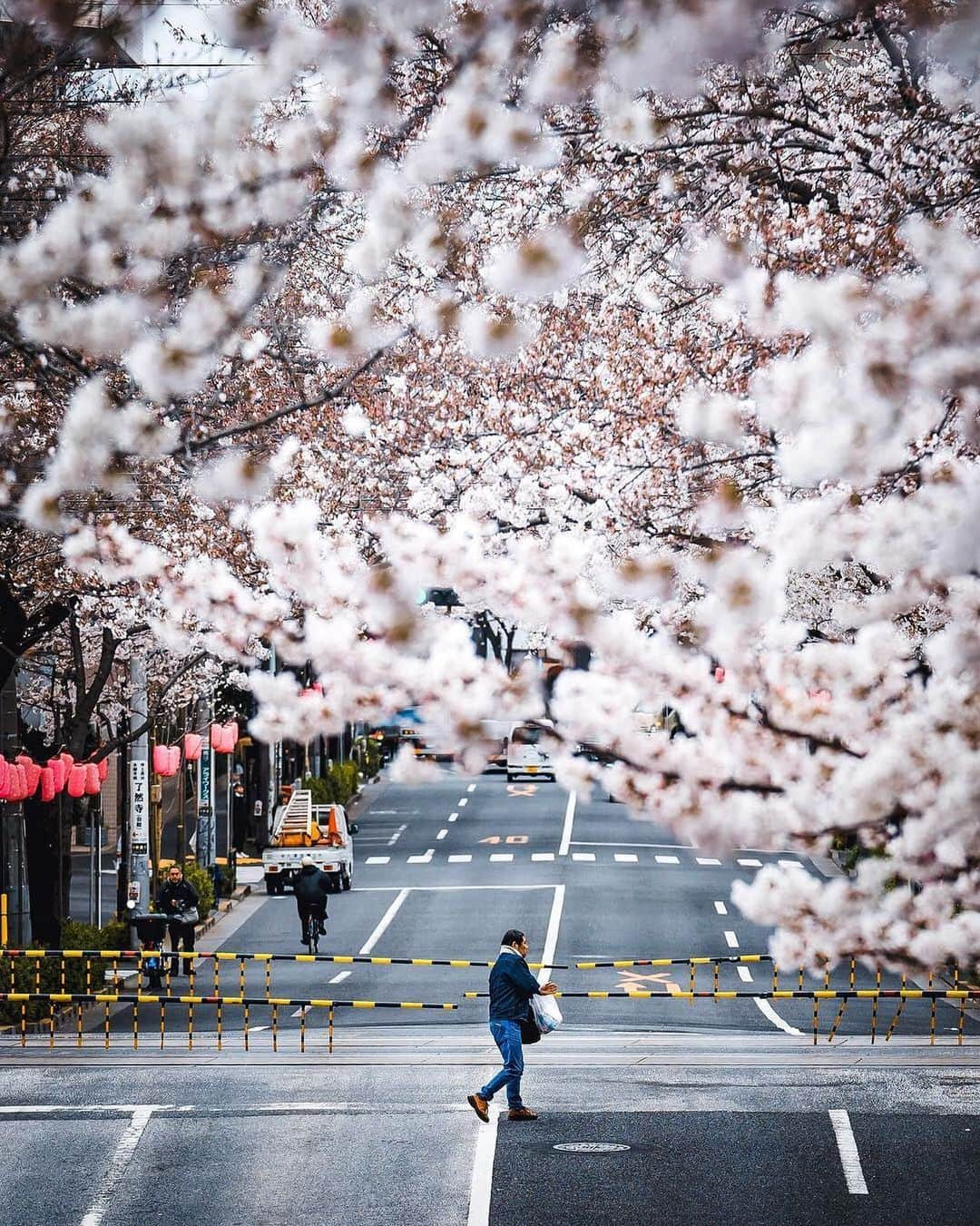 Valiant Language Schoolさんのインスタグラム写真 - (Valiant Language SchoolInstagram)「・ 📷: @zookomi0124 ・ . 📍: Tokyo, Japan | 東京都 🇯🇵🚃 🌸 ・ Use #valiantjapanese for feature 📸 .」6月10日 10時01分 - valiantjapanese