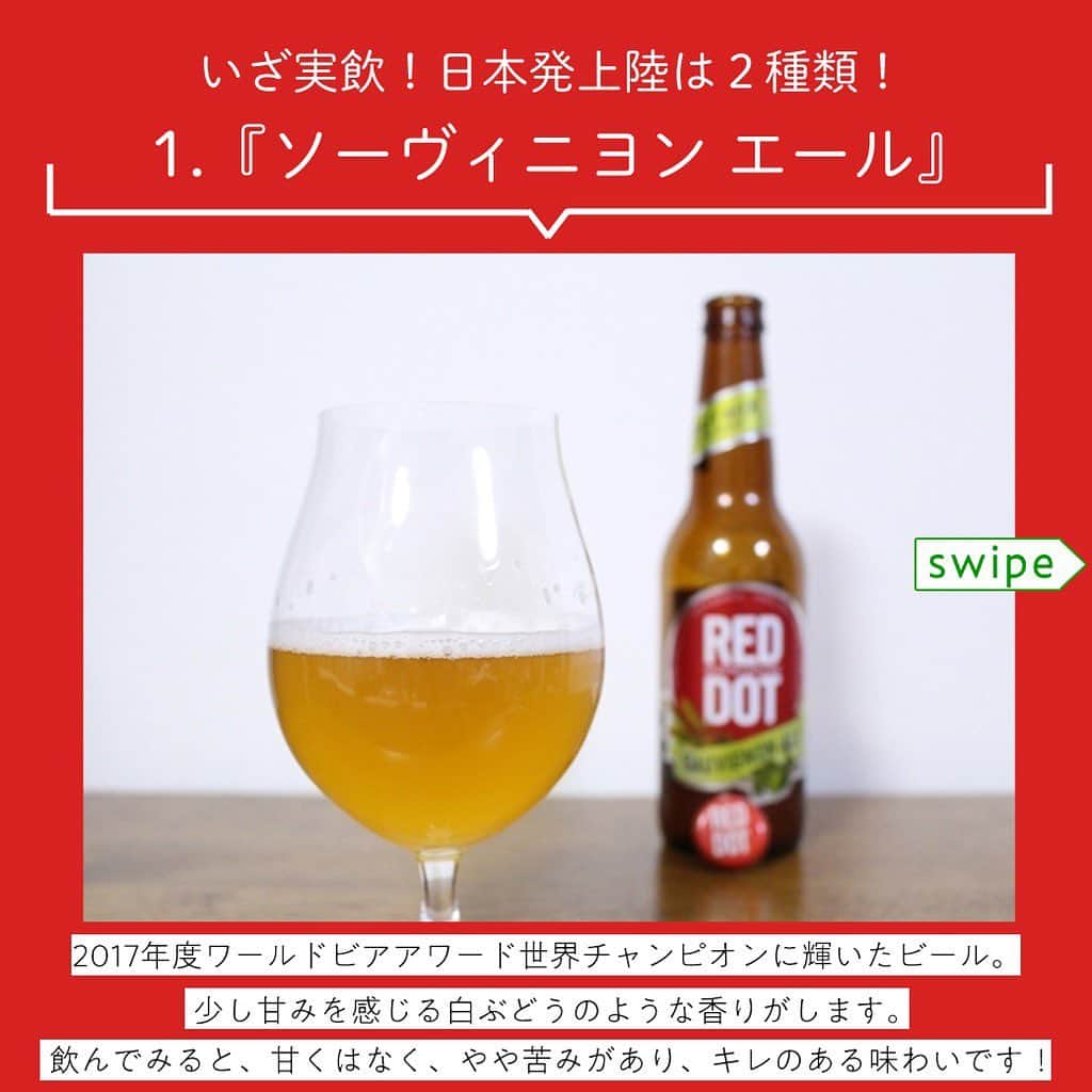 【ビール女子 -Beergirl.net-】さんのインスタグラム写真 - (【ビール女子 -Beergirl.net-】Instagram)「日本初登場！﻿ シンガポールのクラフトビール「レッドドット」を紹介﻿ ﻿ 『REDDOT SAUVIGNON ALE』﻿ 〇醸造所：RED DOT BREWHOUSE﻿ 〇品目：ビール﻿ 〇原材料： 麦芽、ホップ﻿ 〇アルコール度数：5％﻿ 〇容量：330ml﻿ 〇販売価格：12,963円（税込14,000円　24本／ケース）送料無料﻿ ﻿ ﻿ 『REDDOT MONSTER GREEN LAGER』﻿ 〇醸造所：RED DOT BREWHOUSE﻿ 〇品目：発泡酒﻿ 〇原材料： 麦芽、ホップ、スピルリナ﻿ 〇アルコール度数：5%﻿ 〇容量：330ml﻿ 〇販売価格：12,963円（税込14,000円　24本／ケース）送料無料﻿ ﻿ ﻿ ■『REDDOT SAUVIGNON ALE』『REDDOT MONSTER GREEN LAGER』各12本、合計24本が1ケースになったセット﻿ 〇販売価格：12,963円（税込14,000円）送料無料﻿ 〇販売総代理店：株式会社世界の寛ちゃん﻿ 〇公式HP：https://sekainokanchan.wixsite.com/home﻿ ﻿ ﻿ ﻿ ﻿ #ビール女子 #beergirl #beergirls﻿ #beer #ビール #ビール好き﻿ #ビール好きな人と繋がりたい﻿ #クラフトビール #craftbeer﻿ #クラフトビール飲み比べ﻿ #クラフトビール好き﻿ #reddot #日本初上陸  #レッドドット  #シンガポール」6月10日 21時02分 - beergirl_net