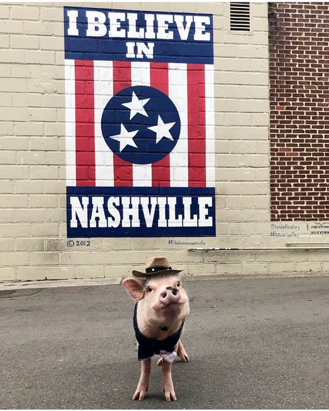 のインスタグラム：「It was fun being in Nashville during CMA Fest. Now Pink wants to be a country music singer when he grows up. Dream big, little pig!🎤🐷🤠#Nashville #upandcomingartist #countrymusic #cmafest #Pinkerton #PrissyandPop」