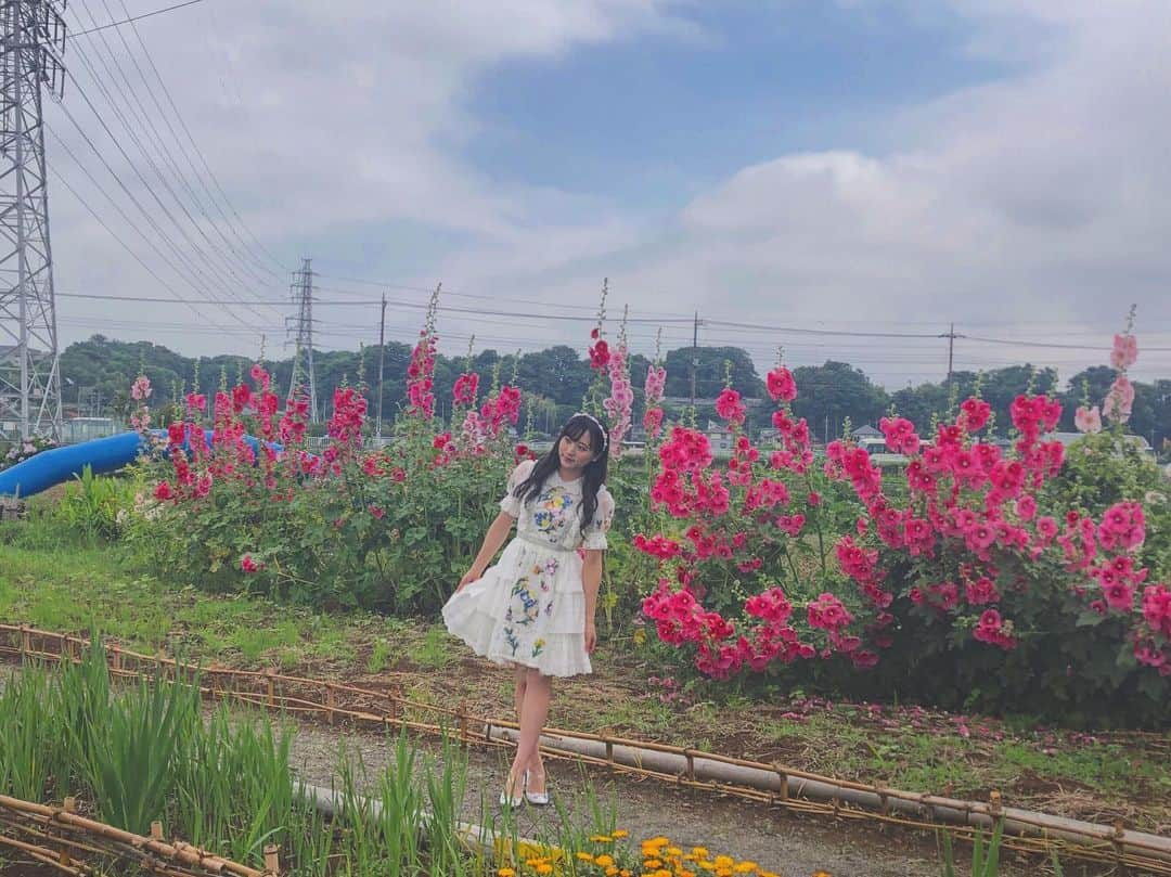 坂口渚沙さんのインスタグラム写真 - (坂口渚沙Instagram)「お花がたくさん咲いてて、 綺麗だったなぁ、、💭✨. . ちなみにこのピンクの花は、 なんて名前なのかな？？. . #お花畑. #花の名前がわからない 笑」6月10日 22時06分 - nagisa_sakaguchi