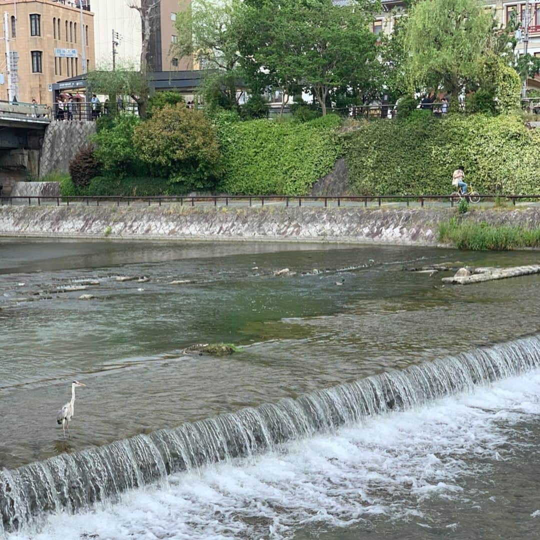 吉村優のグルメインスタ