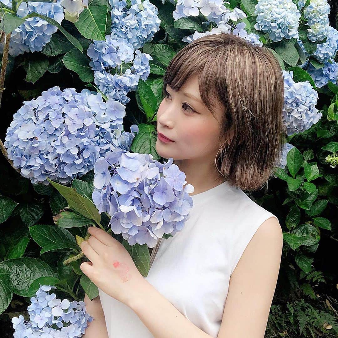 のインスタグラム：「これは日本も梅雨入りかな？☔️ 今日みたいな大雨の時の音が苦手😅 早く梅雨明けてほしいな〜！ . .  #繡球花#高家繡球花田 #陽明山 #紫陽花 #あじさい #台湾 #台北 #台湾旅行  #taipei #travel #trip #あおぞら旅日記」