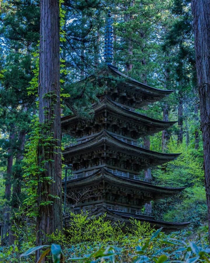 日本の国立公園さんのインスタグラム写真 - (日本の国立公園Instagram)「Photo by @tsumizo⠀ https://www.instagram.com/p/ByCa6aGAzdY/⠀ .⠀ #磐梯朝日国立公園⠀ .⠀ On our Instagram, we will also share wonderful photos of National Parks of Japan posted on Instagram with the tag #nationalparksjp. We look forward to your participation!⠀ .⠀ #NationalPark #nationalparks #nature #findyourpark #instafollow #japan #landscape #landscape_lovers #ourplanetdaily #landscapephotography #hiking #outdoors #traveling #travel #explore #visitjapanjp #日本 #國家公園 #일본 #국립공원 #国立公園」6月10日 15時00分 - nationalpark_japan