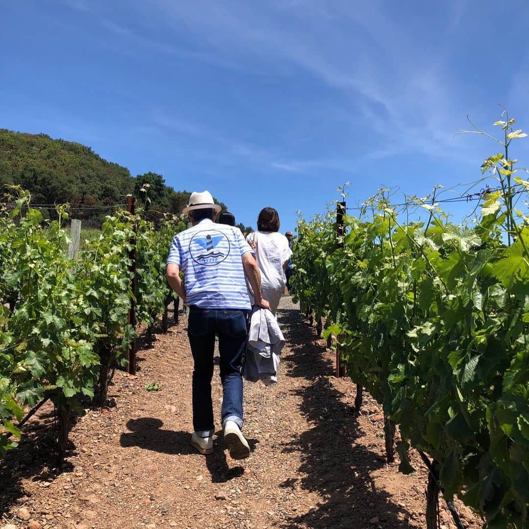高橋幸宏さんのインスタグラム写真 - (高橋幸宏Instagram)「Tour of the winery  1 #javis  #kenzoestate での#lunch 最高！(胃がお疲れ気味ながらも) #opusone」6月10日 16時05分 - room66_yukihiro