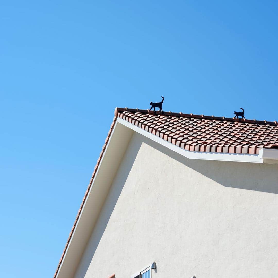家づくりの本ふくおか・さがさんのインスタグラム写真 - (家づくりの本ふくおか・さがInstagram)「#ホームランド﻿ 青空に映えるオレンジ色の屋根と塗り壁。﻿ 遠くからも目を惹く住まい。﻿ ﻿ プロヴァンス風でアンティーク家具が似合う﻿ 【ホームランド】がつくったN邸へお邪魔しました。﻿ …﻿ ﻿ 最近では外国風の住まいを建てる会社も多いが、﻿ 高いデザイン性だけでなく素材選びや細かい部分まで﻿ こだわった提案をする【ホームランド】で﻿ 築60年の日本家屋を建て直すことに。﻿ ﻿ 見学会に行って惚れ込んだという﻿ 天井の太い梁とオーク製の床、塗り壁を採用。﻿ 重厚感のあるアンティーク家具と調和するリビングに。﻿ ﻿ お気に入りの場所は『コンサバトリー』。﻿ ティースペースとして設えたクラシカルなその空間は、﻿ 床に敷き詰めた六角形のタイルと花柄のクロスで﻿ よりエレガントな印象を与えます。﻿ ﻿ さらに、どの段階でも想像以上に多くの選択肢を﻿ 集めて提案してくれたという【ホームランド】は、﻿ ﻿ 四季折々のさまざまな草木が愛でられるよう﻿ 常緑樹や落葉樹、果樹、ハーブなどの配置など﻿ バランスよくデザインされた外構や庭造りも担当。﻿ ﻿ 成長する庭木とともに、﻿ ５年後、10年後と歳月を重ねるほど美しくなるでしょう。﻿ ﻿ //////////////////﻿ ﻿ さまざまな工務店を紹介する﻿ 【家づくりnet】はこちら﻿ → @iedukuri.fukuoka﻿ ﻿ 福岡でかなえる理想のリノベーション﻿ 【フクオカリノベ】はこちら﻿ → @fukuoka_renovation﻿ ﻿ ■株式会社 ホームランド（ @homeland_fukuoka ）﻿ 福岡市中央区薬院2-4-15﻿ TEL＊0120-724-112」6月10日 16時43分 - iedukuri.fukuoka