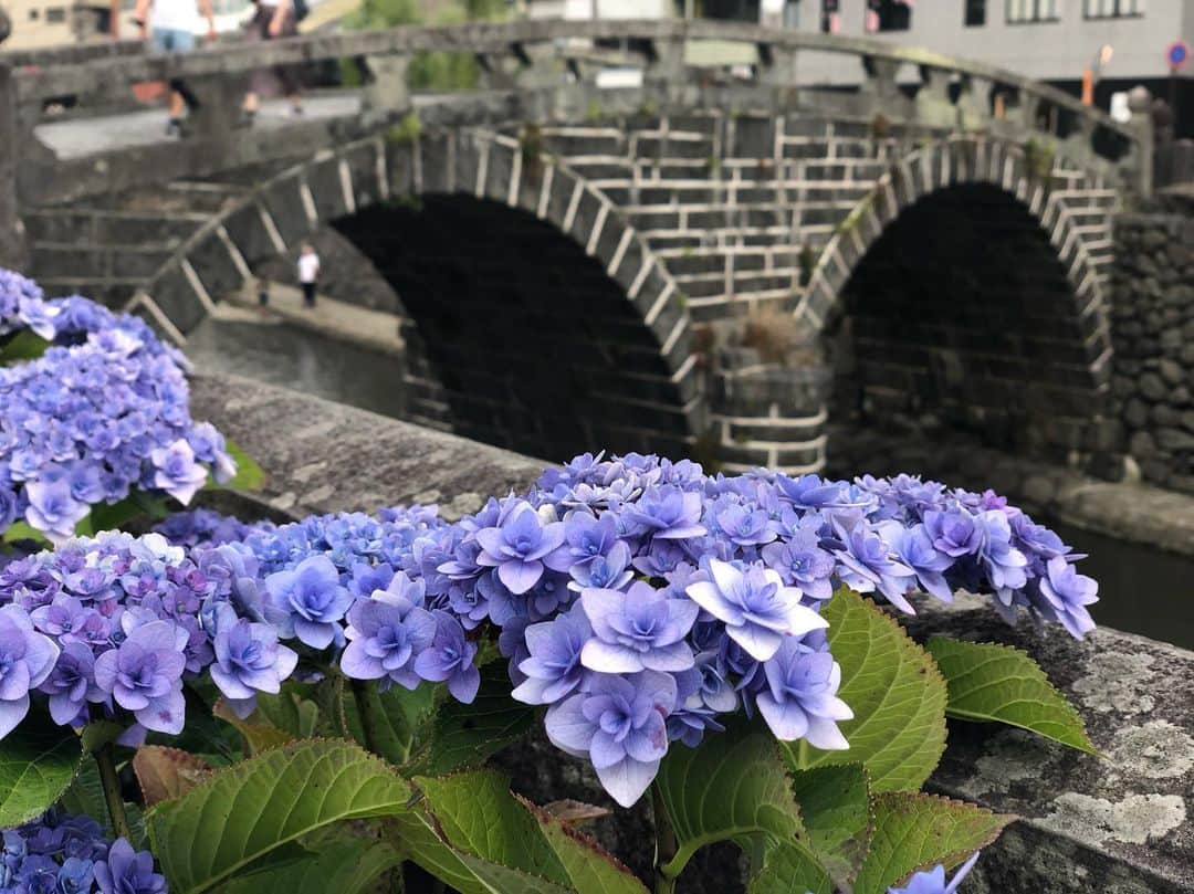 藤坂奈央のグルメインスタ