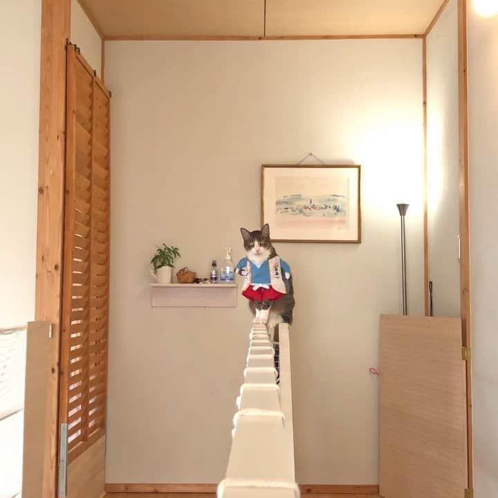 マアルのインスタグラム：「#まを店長」