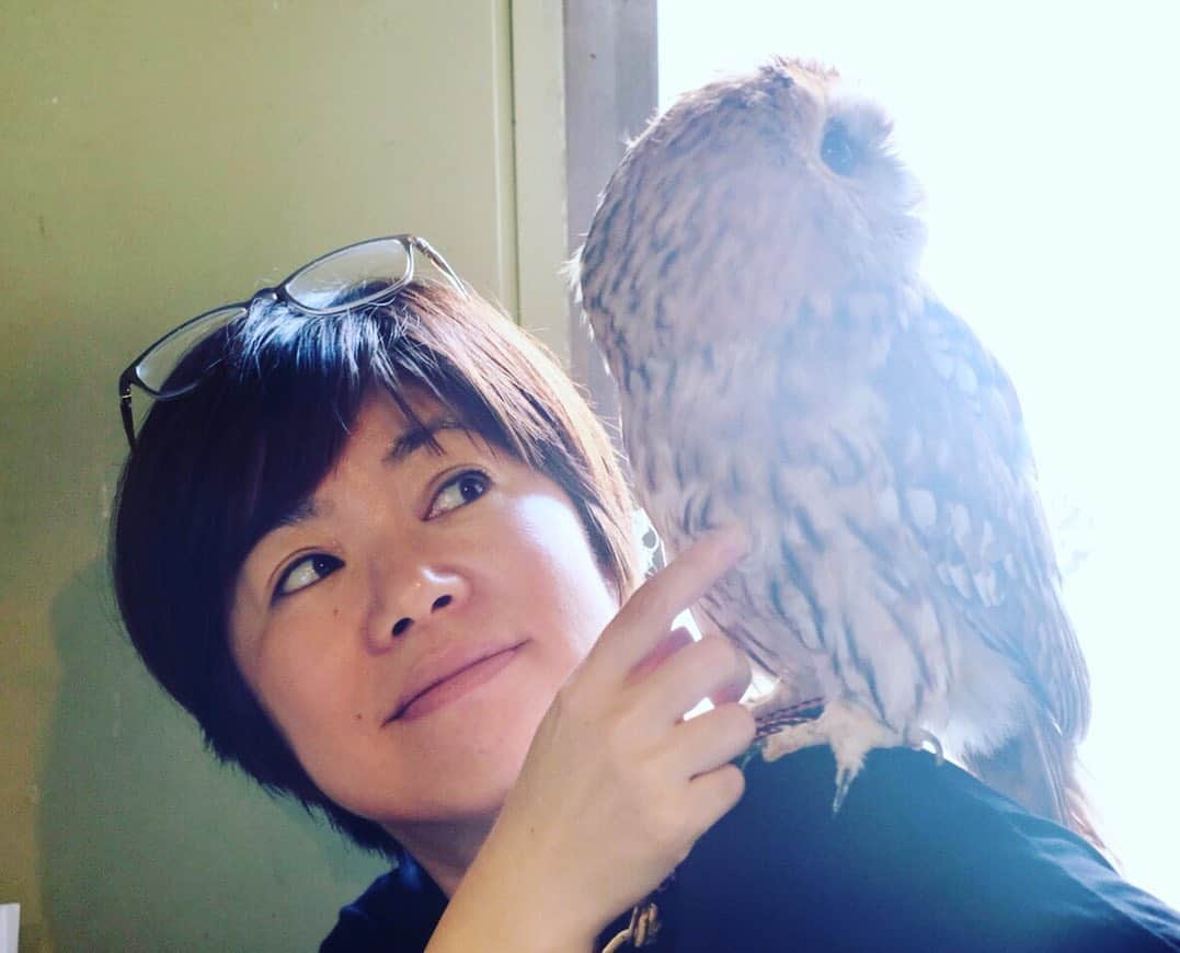 はなさんのインスタグラム写真 - (はなInstagram)「ホンモノです🦉✨フクロウ好きな前田さんのお誕生日会でロケハン含め、２回も訪れてしまったフクロウ・カフェ🦉🦉🦉好きなフクロウを指名して触れ合うことができるここはまさにowl city！ちなみに私の腕からファサ〜ファサ〜🦉って飛び立ったフクロウの名は「QUEEN」。サプライズでカフェに連れ込まれた前田さんのリアクションってばw 楽しい大人のお誕生日会でした🦉✨ #大人のお誕生日会 #ふくろう #owlcity」6月10日 17時05分 - hanalovestaco