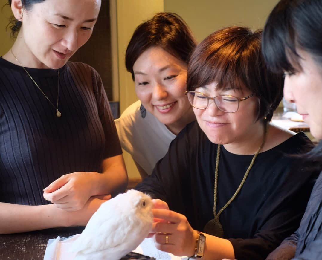 はなさんのインスタグラム写真 - (はなInstagram)「ホンモノです🦉✨フクロウ好きな前田さんのお誕生日会でロケハン含め、２回も訪れてしまったフクロウ・カフェ🦉🦉🦉好きなフクロウを指名して触れ合うことができるここはまさにowl city！ちなみに私の腕からファサ〜ファサ〜🦉って飛び立ったフクロウの名は「QUEEN」。サプライズでカフェに連れ込まれた前田さんのリアクションってばw 楽しい大人のお誕生日会でした🦉✨ #大人のお誕生日会 #ふくろう #owlcity」6月10日 17時05分 - hanalovestaco