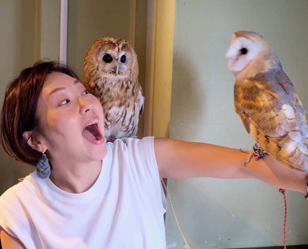 はなさんのインスタグラム写真 - (はなInstagram)「ホンモノです🦉✨フクロウ好きな前田さんのお誕生日会でロケハン含め、２回も訪れてしまったフクロウ・カフェ🦉🦉🦉好きなフクロウを指名して触れ合うことができるここはまさにowl city！ちなみに私の腕からファサ〜ファサ〜🦉って飛び立ったフクロウの名は「QUEEN」。サプライズでカフェに連れ込まれた前田さんのリアクションってばw 楽しい大人のお誕生日会でした🦉✨ #大人のお誕生日会 #ふくろう #owlcity」6月10日 17時05分 - hanalovestaco