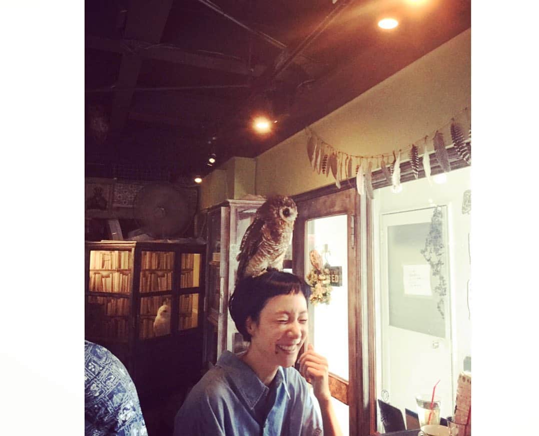 はなのグルメインスタ