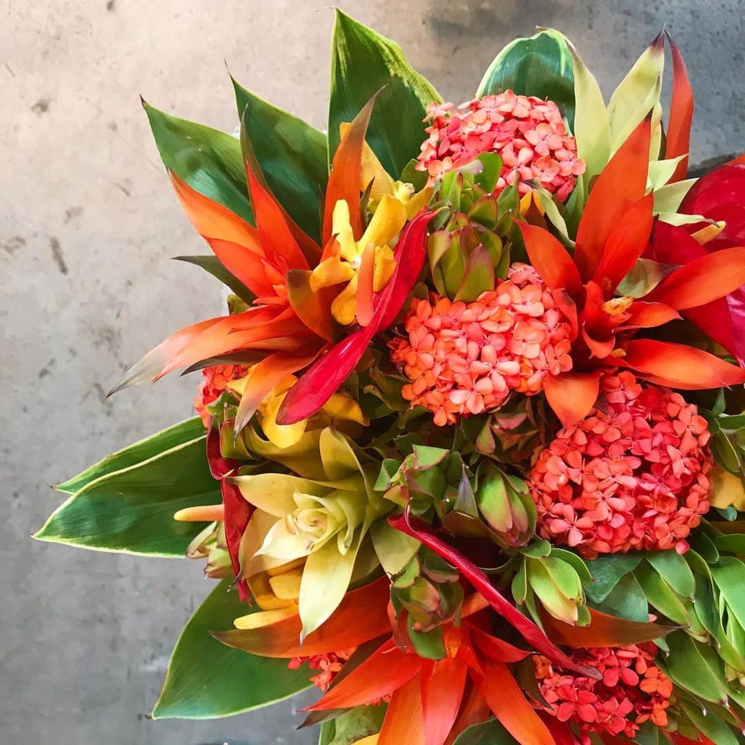 増山敬子のグルメインスタ