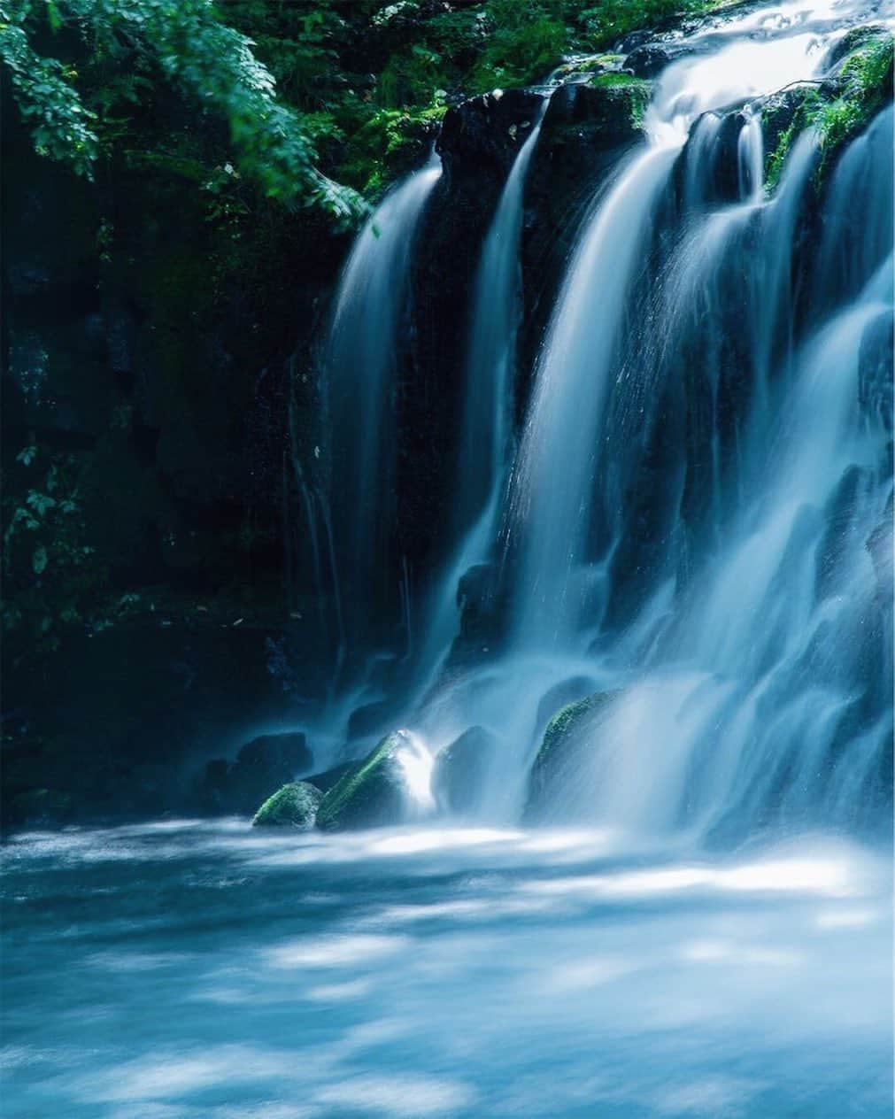?長野県 観光 公式インスタグラム さんのインスタグラム写真 - (?長野県 観光 公式インスタグラム Instagram)「//﻿ Photo by @yakiakkobuuuu﻿ ﻿ Tateshina Otaki Falls﻿ (Chino City)﻿ ﻿ Tateshina Otaki Falls is located in Chino City. Part of the Taki-no-Yu River, the falls flow quite vigorously.﻿ ﻿ The path leading to the waterfall is surrounded by moss-laden, virgin forest, which creates an atmosphere of beauty and mystery.﻿ ﻿ Enjoy the refreshing, misty air and shade at this waterfall deep in the woods of Tateshina.﻿ ﻿ ============﻿ ﻿ 森と滝の共演﻿ 「蓼科大滝」﻿ ＠茅野市﻿ ﻿ 茅野市にある「蓼科大滝」は﻿ 滝の湯川に架かる水量豊かな滝です🍃﻿ ﻿ 滝へ向かう遊歩道には﻿ 苔むした原生林が広がり﻿ 神秘的な美しさに包まれます　🌳﻿ ﻿ 深い森の奥に広がる﻿ 大自然を楽しめますよ✨﻿ ﻿ ＿＿＿＿＿＿＿＿＿ ﻿ ﻿ ⛰インスタアワード作品募集中⛰﻿ 応募期間4/25～6/16﻿ 詳しくはプロフィールのリンクからご覧ください﻿ ﻿ @nagano_japan をフォローして﻿ 応募期間(4/25～6/16)内に ﻿ 長野県内で撮った写真には﻿ #長野のいいところ﻿ 花フェスタ会場で撮った写真には﻿ #信州花フェスタ2019﻿ を付けて投稿するだけ✨﻿ ﻿ ＿＿＿＿＿＿＿＿＿﻿ ﻿ Location /  Chino City, Nagano, Japan ﻿ ﻿ #長野のいいところ #蓼科大滝 #茅野市 #山の信州」6月10日 17時13分 - nagano_japan