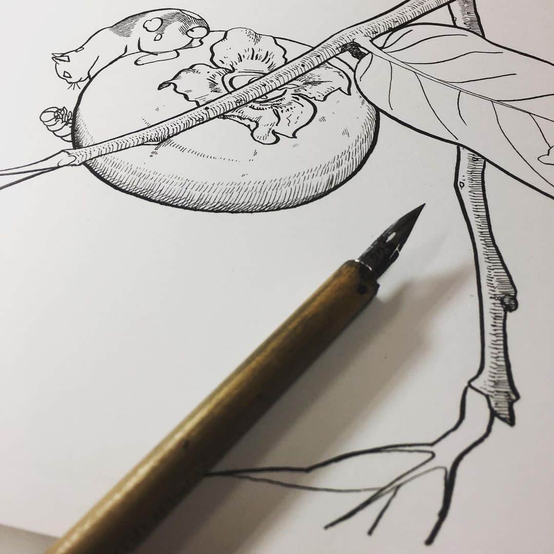 のインスタグラム：「『こびとねこ』単行本用描き下ろしカット。 #7月12日発売 #こびとねこ #単行本 #コミックス #カット #イラスト #アナログ原稿 #つけペン #manga #comic」