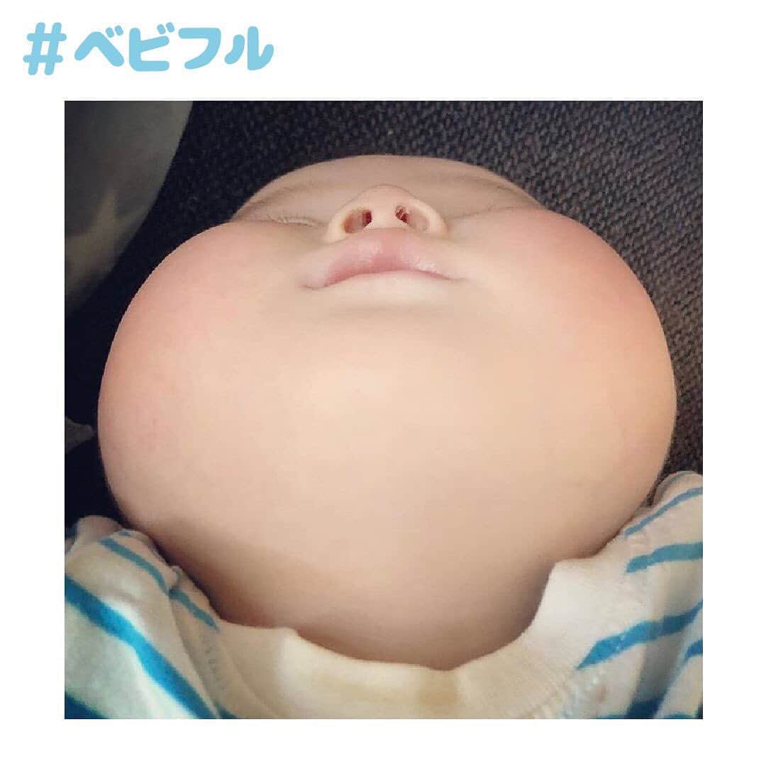 Babyful Storeさんのインスタグラム写真 Babyful Storeinstagram もちもちほっぺ ベビフル いつもベビフルを ありがとうございます 本日のピックアップ画像は Acomix7 さん ぷっくりプニプニのほっぺたが たまらないですね 息子