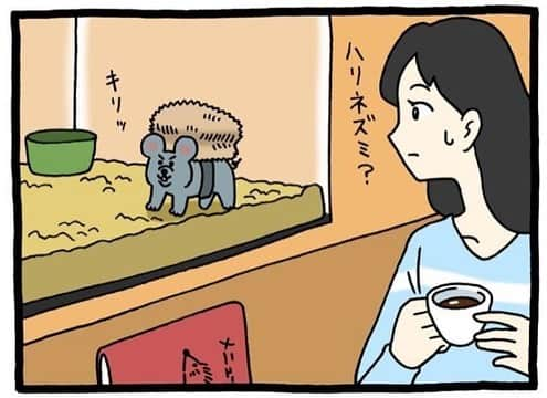 タウンワークさんのインスタグラム写真 - (タウンワークInstagram)「🐭. 📖前回の続き… ハリネズミ🦔の鳴き声・・・⁉️😆 . 続きは @townwork_official のプロフィールにあるリンクから読めるよ👀 . #キューライス(@qrais_sukiusagi) #ネズミダくん #砂岡さん #チベスナ #チベットスナギツネ #instacomic #漫画 #4コマ #絵日記 . #バイトはスマホでタウンワーク #タウンワーク #タウンワークマガジン #バイト #アルバイト」6月10日 18時00分 - townwork_official