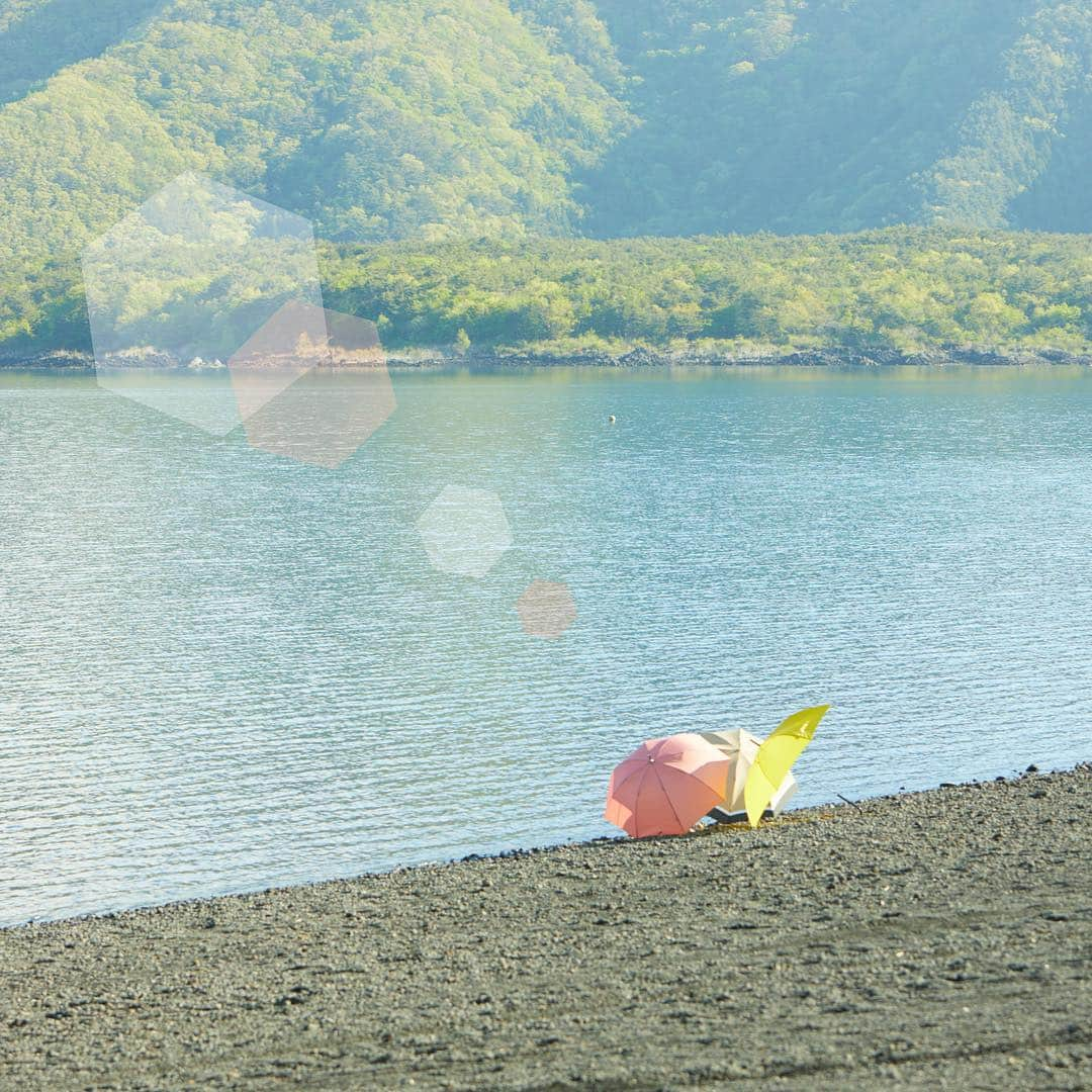 haru(ハル)さんのインスタグラム写真 - (haru(ハル)Instagram)「カラフルな傘で雨の日も明るい気分に。 . 6月11日は傘の日だそうです。 ピンクや黄色、あなたの好きな色で傘も遊んでみましょう。 _ #傘 #傘の日 #アンブレラ #雨上がり #梅雨対策 _ #暮らしを楽しむ #ライフスタイル #日々の暮らし #丁寧な暮らし #シンプルライフ #日々のこと #シンプルな暮らし #ヘアケア #無添加 #美髪 #自然素材 #ていねいな暮らし #日々の記録 #美容法 #オールインワン #小さな幸せ #すっきり暮らす #ナチュラルライフ #暮らしを整える #ナチュラルコスメ #暮らしの記録 _ #haruシャンプー #haruのある生活 #ココロハレル #kurokamiスカルプ」6月10日 18時05分 - haru_tennen100