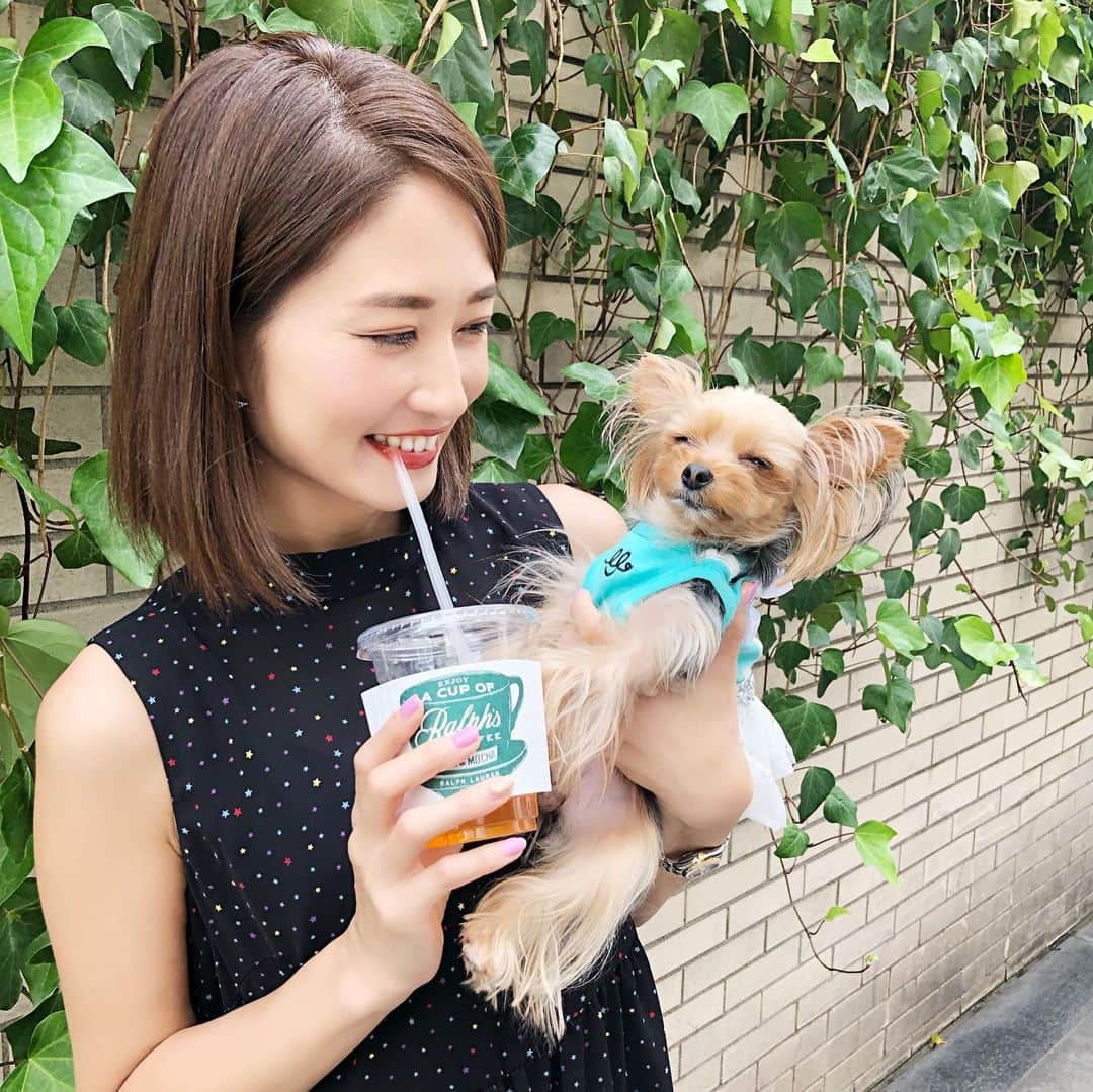 のインスタグラム：「今日は土砂降り…☔️そして寒い❄️ ・ 晴れの空が恋しいですね😭 ・ 帰宅はお気をつけてくださいね。 ・ これは先週かな？ 晴れて暑かった日の1枚☺︎ ・ 姫ちゃん安定の顔。w ・ ・ 可愛いなぁ😍 ・ ・ #犬#dog#表参道#ラルフローレンカフェ #ラルフローレン表参道 #アラフォー#アラフォーライフ#yorkie#yorkshireterrier #yorkie_town #yorkielovers #ティーカップヨーキー #極小ヨーキー#夏日#teatime#紅茶#可愛い#娘#愛犬#親バカ#大好き#姫ちゃん#ヨークシャテリア #dogsofinstagram #dogs_of_instagram#表参道カフェ」