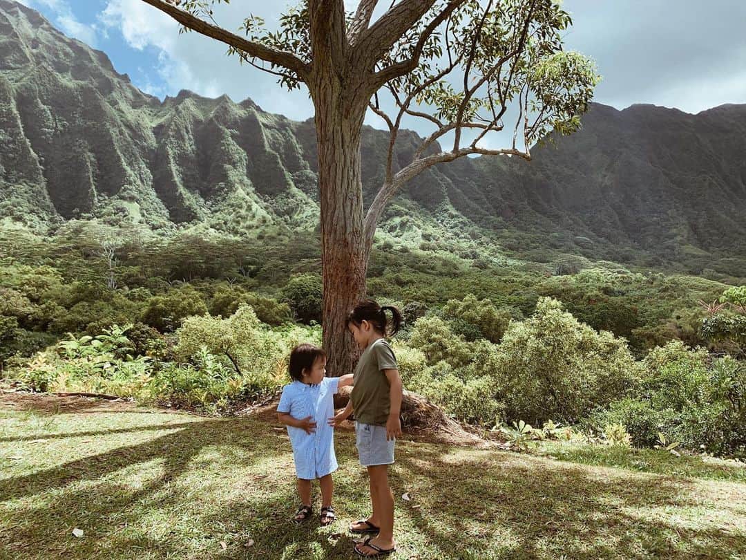 春名亜美さんのインスタグラム写真 - (春名亜美Instagram)「今日はカネオヘの植物園 "Hoʻomaluhia Botanical Garden"  へ🌿🌺🌴🌼🌳 植物園の門を入ってからは、自然が凄すぎてまるでジュラシックワールドの世界に入ったよう🦖 長男は恐竜がまだ実際にいると信じていて、こういう場所に来ると必死で目を凝らして恐竜たちを探してます😅 教えてあげるべきなのか…と毎回悩みながらも、毎回すごく楽しそうなので、今日も「恐竜いそうやね！」と言ってしまった😅 そして、池の方に進んでいくと、目を疑う光景が😳😳😳(写真6枚目) オレンジ色の魚が…見たことないくらいの数いる… こういう集合体を見るのが無理な人は絶対無理な光景です 笑 息子たちはそれはもう大っっっ興奮💨💨💨 水槽に数匹金魚が入っていたくらいで30分くらい立ち止まらされるのに、この数のお魚がいるもんですから🤣 カモや鳥やマングースまで走り回ってて、無料でここまで楽しませてもらえて最高でした😂 ・ ・ しかし…夢に出てきそう🐟🐟🐟 ・ ・ ・ #HoomaluhiaBotanicalGarden #ホオマルヒアボタニカルガーデン #カネオヘ #カネオヘ植物園 #Hawaii #ハワイ #ハワイ生活 #hawaiilife  #ハワイライフ #子連れハワイ #兄弟 #5歳1ヶ月 #1歳10ヶ月 #男の子ママ」6月10日 18時20分 - amiharunaami