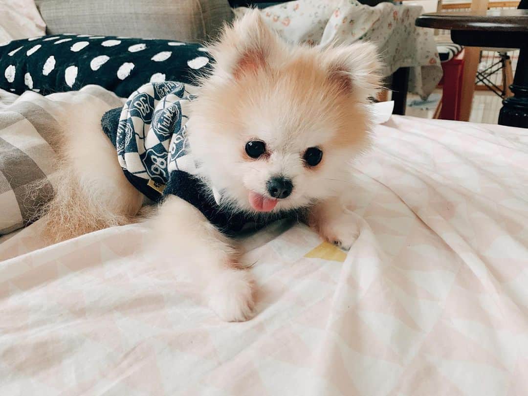 r_oseのインスタグラム：「40 mins to next meal🍕🍞 〰️ I can’t wait!!」