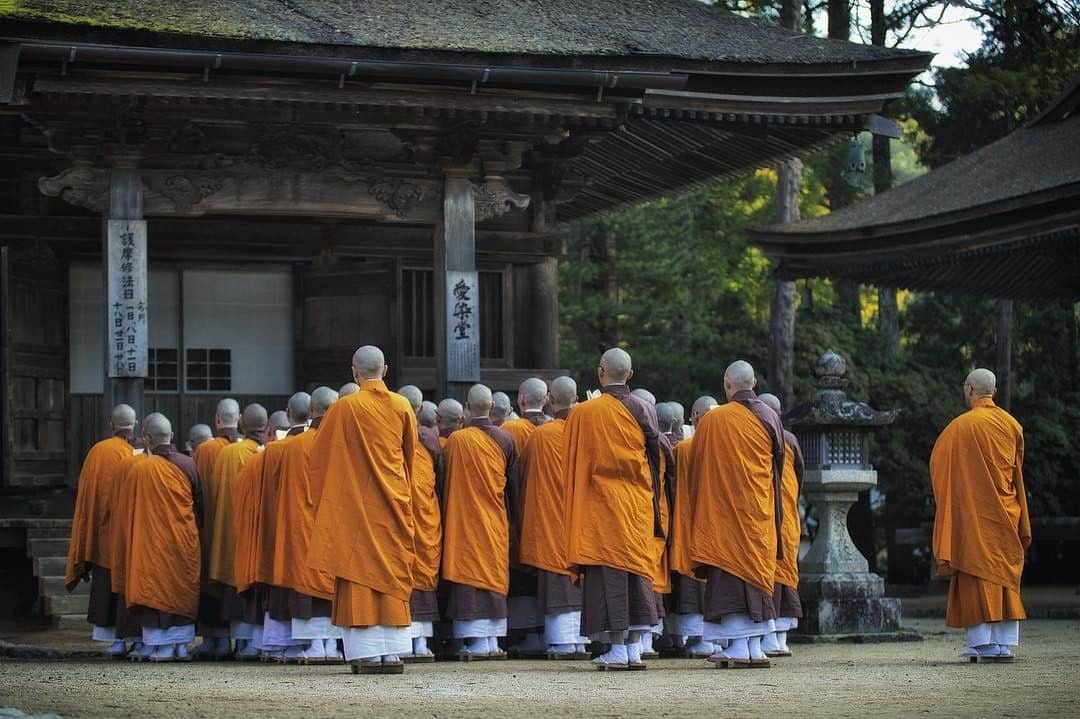 Visit Wakayamaさんのインスタグラム写真 - (Visit WakayamaInstagram)「.﻿ Walk the cedar lined path through a sacred forest. ﻿ Okuno-in, designated UNESCO World Heritage site, is consider the holiest location in Koyasan.﻿ Discover more at the official Wakayama travel guide. Link in our bio!﻿ 📸: @phylloxera.jp﻿ ﻿ Share your stories with #visitwayama and @visitwakayama for a chance to be featured!」6月10日 19時00分 - visitwakayama