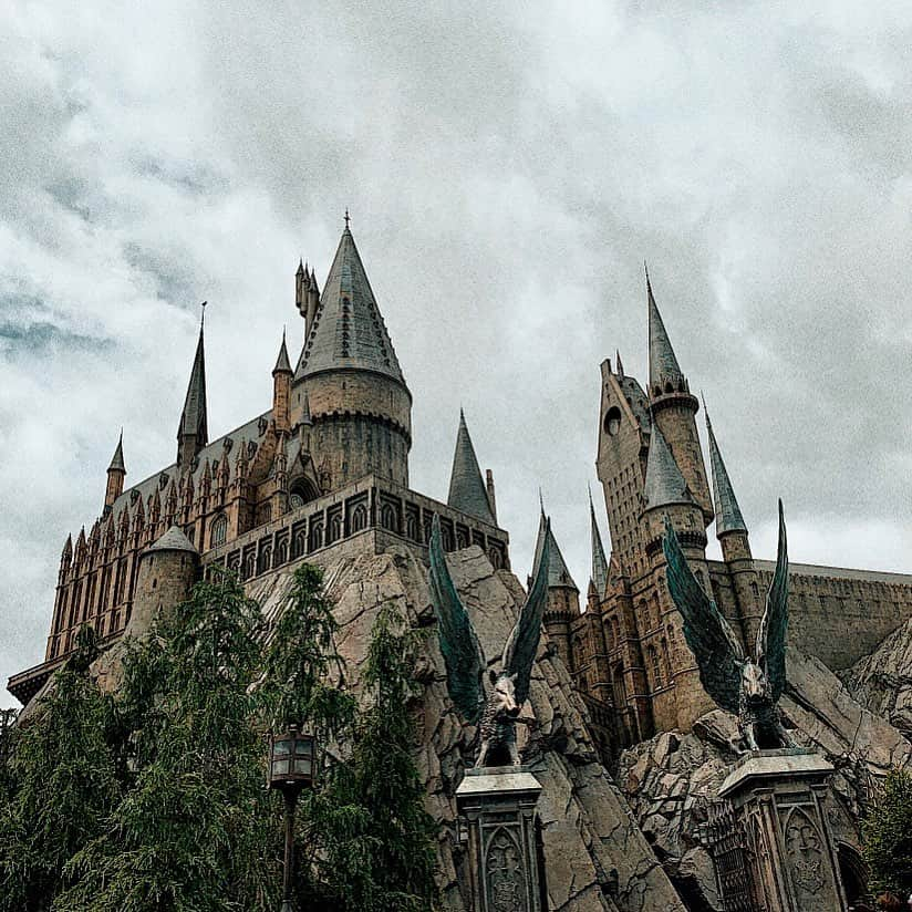 辻凌志朗さんのインスタグラム写真 - (辻凌志朗Instagram)「Hogwarts School of Witchcraft and Wizardry‼︎ #ホグワーツ #入学希望」6月10日 19時04分 - ryoshirotsuji_official