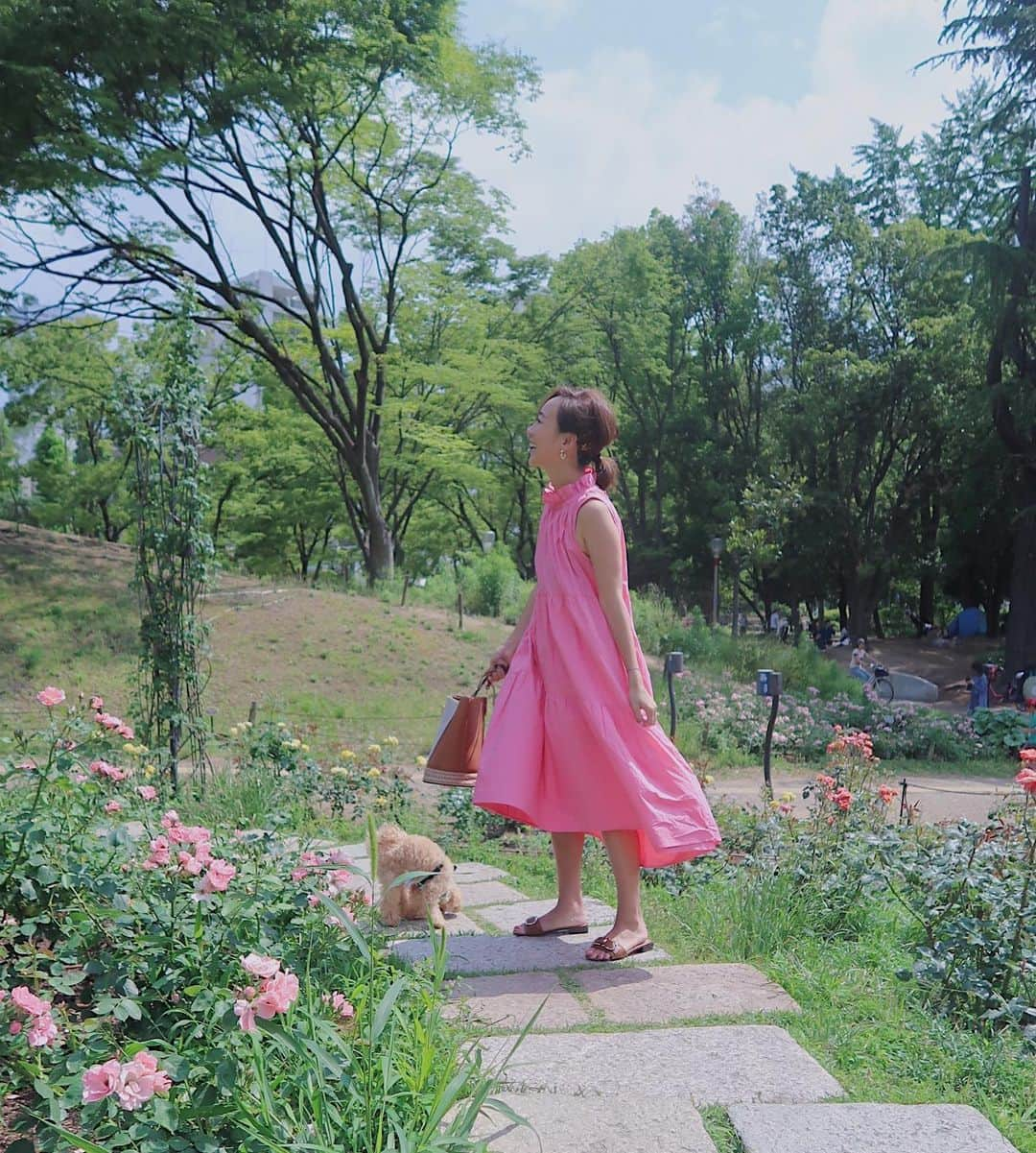 村上沙織さんのインスタグラム写真 - (村上沙織Instagram)「昨日お散歩してたのは靱公園でした🌳 大阪のオアシスだねー🌷🌸💐 ・ アポロも嬉しそうにるんるん歩いてた♥️あー可愛い♥️ #rosymonster #osaka」6月10日 19時17分 - rosysaorimonster