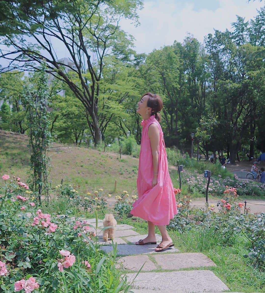 村上沙織さんのインスタグラム写真 - (村上沙織Instagram)「昨日お散歩してたのは靱公園でした🌳 大阪のオアシスだねー🌷🌸💐 ・ アポロも嬉しそうにるんるん歩いてた♥️あー可愛い♥️ #rosymonster #osaka」6月10日 19時17分 - rosysaorimonster