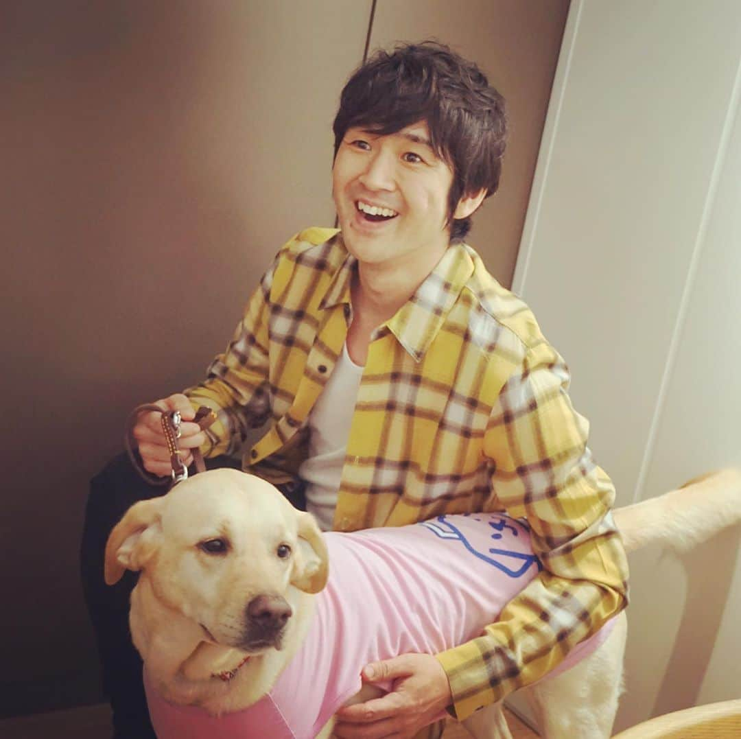 藤巻亮太さんのインスタグラム写真 - (藤巻亮太Instagram)「‪盲導犬総合支援センターさんに取材していただきました🐶 ‬ #ボランティア のこと、盲導犬ユーザーさんのお手伝いについてなどお話させていただき、‪7月に記事が掲載される予定です！‬ ‪https://goguidedogs.jp/chomei/ohsugiren‬ ‪  取材の間はハーネスをつけて「お仕事モード」。‬ ‪ずっと静かに座っていた #盲導犬 のアリエル。 ‬ ‪取材後ハーネスを外したら、しっぽを振って甘えてくれました^ ^‬ 盲導犬を連れた方を見かけたら、何か困っていることはないか、お声掛けの重要さを知りました。 ‪（スタッフE）‬ #藤巻亮太」6月10日 19時33分 - ryota_fujimaki