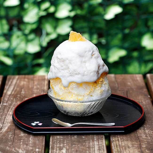 オズモール編集部のグルメインスタ