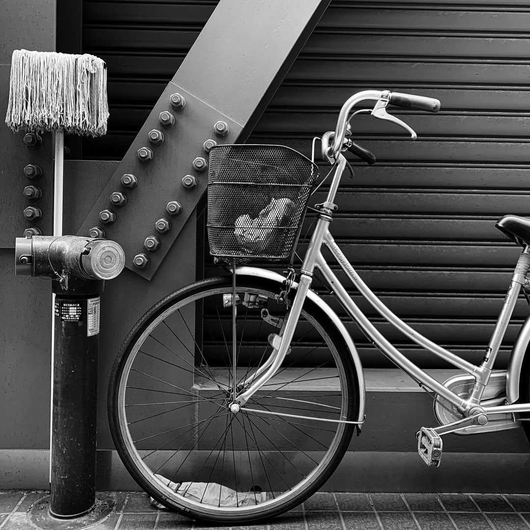 naotakeのインスタグラム：「自転車 - A bicycle / iPhone XR + Snapseed, 20190611 . . あまりの大雨に、予定を切り上げて帰宅。 . . #royalsnappingartists #infamous_family #rsa_main #infinity_photo_cult #2_fineart #jp_gallery #jp_gallery_bnw #trb_bnw #wp_bnw  #bnw_life #bnwlife_member #bnw_life_shots #bnw_captures #world_bnw #top_bnw #team_jp_ #team_jp_モノクロ #ig_energy_bw #ig_nihon #streetphotographybnw #igersjp #blackandwhite #bnw #bnwphoto #monochrome #bw #bnwphotography #ShotOniPhone #shotoniphoneXR」