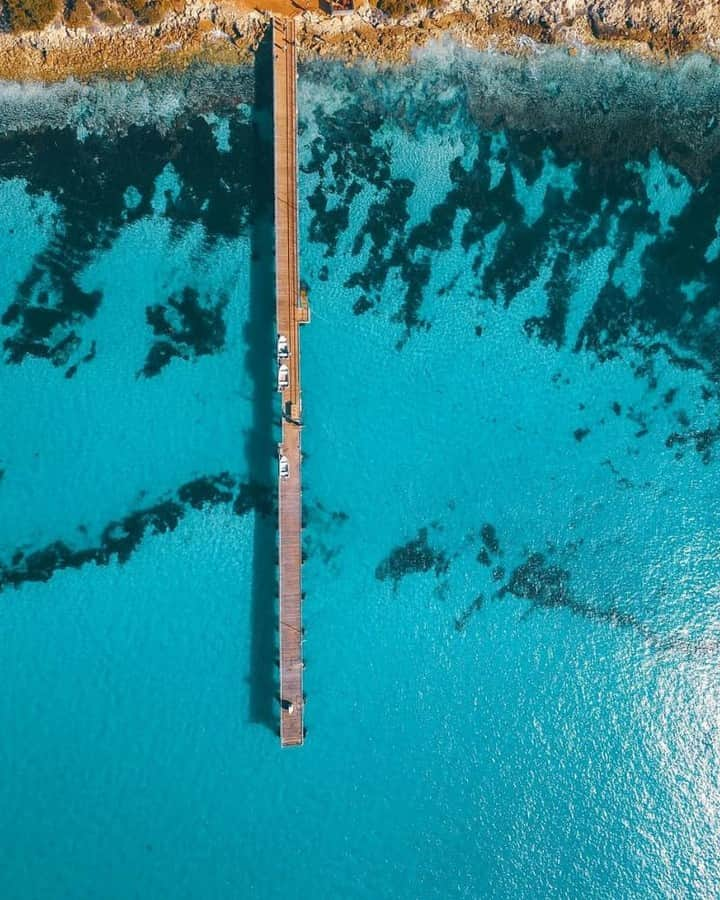 Australiaさんのインスタグラム写真 - (AustraliaInstagram)「Gone fishing - Dropping a line at @authentickangarooisland’s Vivonne Bay Jetty 🎣 @pdepernil recently visited #VivonneBay on this @southaustralia island, a spot that is famous for its cray fishing. Boats often arrive at the town’s jetty with a fresh catch, which you can conveniently throw on the barbecue at the public picnic area nearby. While you’re there, take advantage of the clear water and go snorkel in the rock pools, surfing... or just focus on fishing a big lunch from the jetty, we don’t blame you. 😉  #seeaustralia #seesouthaustralia #kangarooisland #authenticKI #nature」6月10日 20時00分 - australia